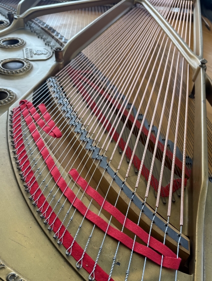 Steinway B in-home restringing in Hyannis (February 2026)