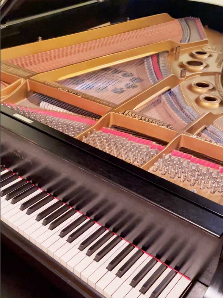 view of interior and keys of a steinway model m
